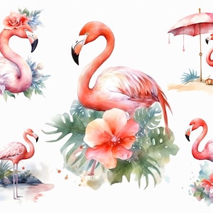 20 Watercolor flamingo png craft making clipart - tropical birds images with transparent background for commercial use, jungle clip art
