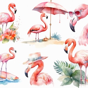 49 Watercolor flamingo clipart - funny summer clipart scrapbooking, journaling, decoupage in jpg format for commercial use