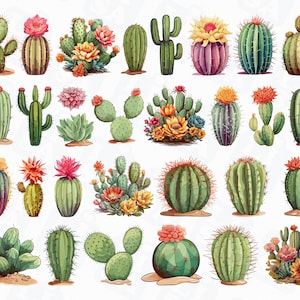 30 Aquarelle Cactus Png. Clipart succulente aquarelle. Sublimation Cactus Png. Téléchargement instantané Scrapbooking. Téléchargement numérique.