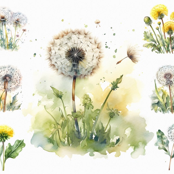 19 Watercolor dandelion clipart - spring flowers scrapbook images in jpg format for commercial use