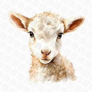 Adorable Baby Lamb PNG Clipart - Farm Animal and Baby Animal Clipart for DIY Crafts and Sublimation Design