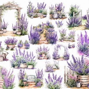 27 Aquarelle Lavande Jardin Png. Clipart lavande de Provence. Aquarelle numérique Png. Téléchargement instantané Scrapbooking. Téléchargement numérique.