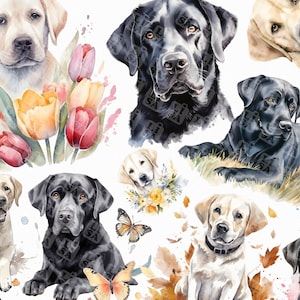 38 Aquarell Labrador - süße Labrador Hunde und Welpen bündeln Clipart Grafiken im png Format für die kommerzielle Nutzung