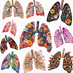 Png del polmone umano, Png del sistema respiratorio di anatomia umana, Png del polmone del fiore, Png anatomico del cancro del polmone, Arte medica del pneumologo, Arte polmonare