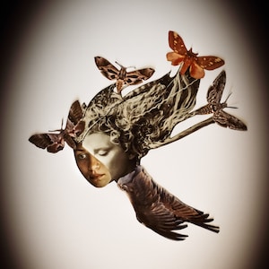 Collage - Collage Portrait - Whimsical - Fine Art Collage - Limited Edition - Framed - Butterfly - Guardian Angel - Fine Art - Lewis Carroll