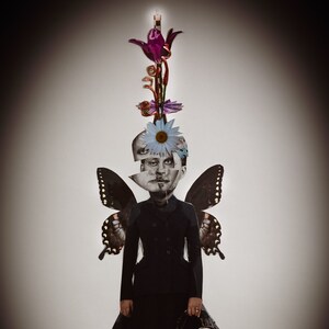 Collage - Collage Portrait - Whismical - Fine Art Collage - Limited Edition - Framed - Butterfly - Butterflies - Fine Art - Lewis Carroll