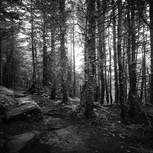 Photography - Black and White Landscape  - Fine Art Photography - Limited Edition - Framed Print - Landscape Photography - Landscape - Art