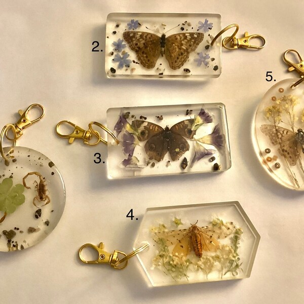 Large epoxy resin keychains, insect and flower keychains, insect preservation