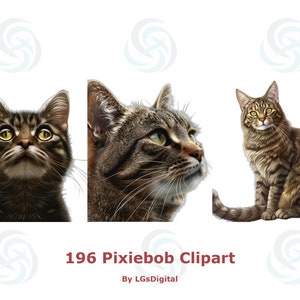 Puede incluir: Tres imágenes de gatos atigrados. El primer gato está mirando hacia arriba con la boca cerrada. El segundo gato está mirando hacia la derecha con la boca cerrada. El tercer gato está sentado con la cola enroscada alrededor de sus patas. Los tres gatos tienen rayas marrones y negras.