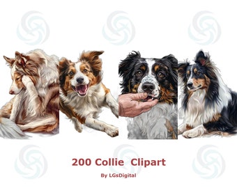 200 Collie Clipart | Realistic Clipart | Transparent Background | Digital Download | Commercial Use | PNG | 300 DPI