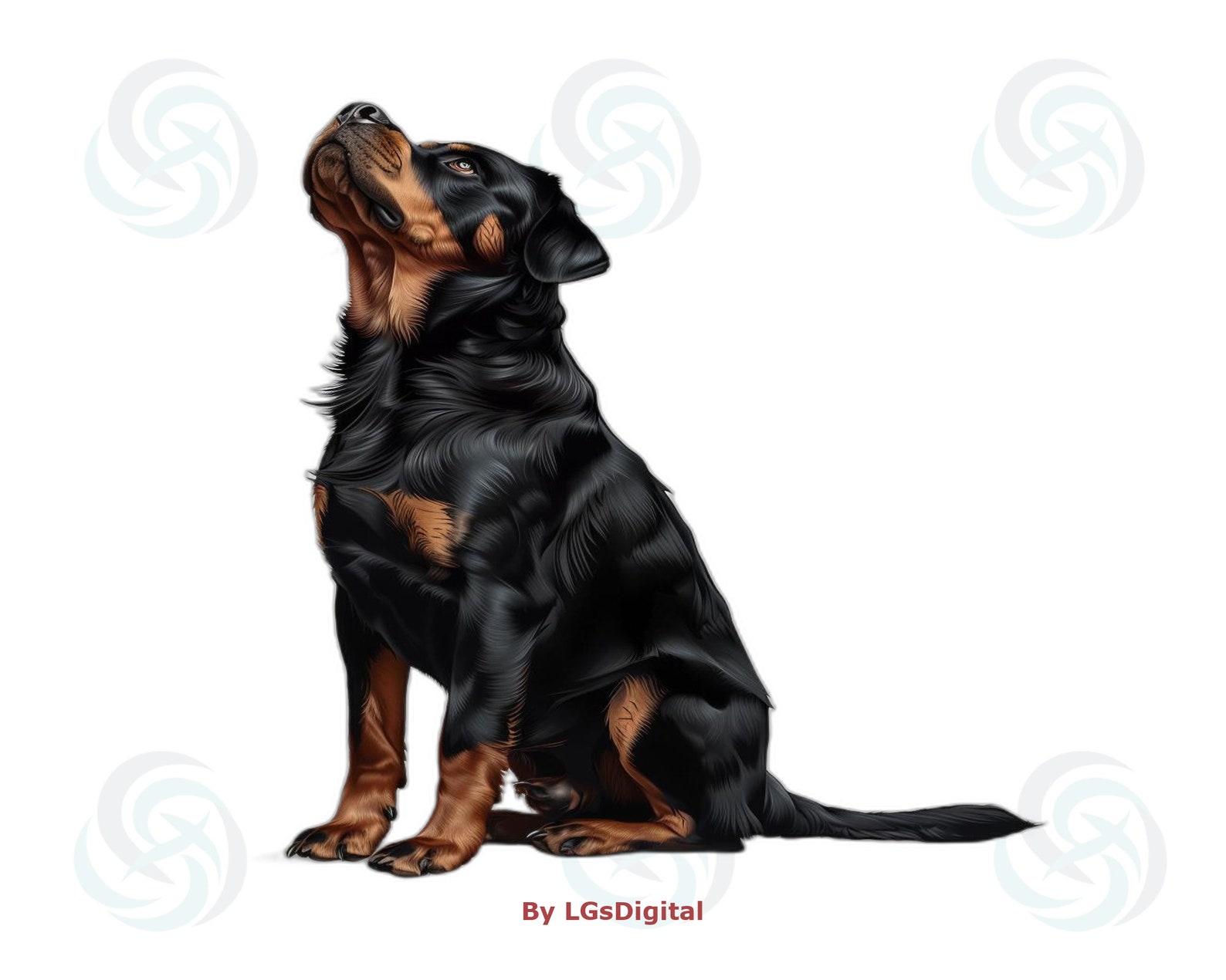 200 Rottweiler Clipart | Realistic Clipart | Transparent Background ...