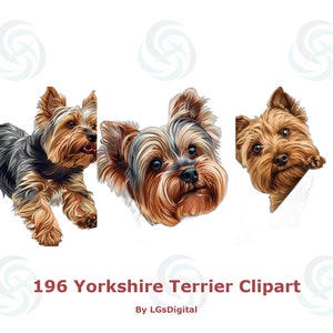 196 Yorkshire Terrier Clipart | Realistic Clipart | Transparent Background | Digital Download | Commercial Use | PNG | 300 DPI