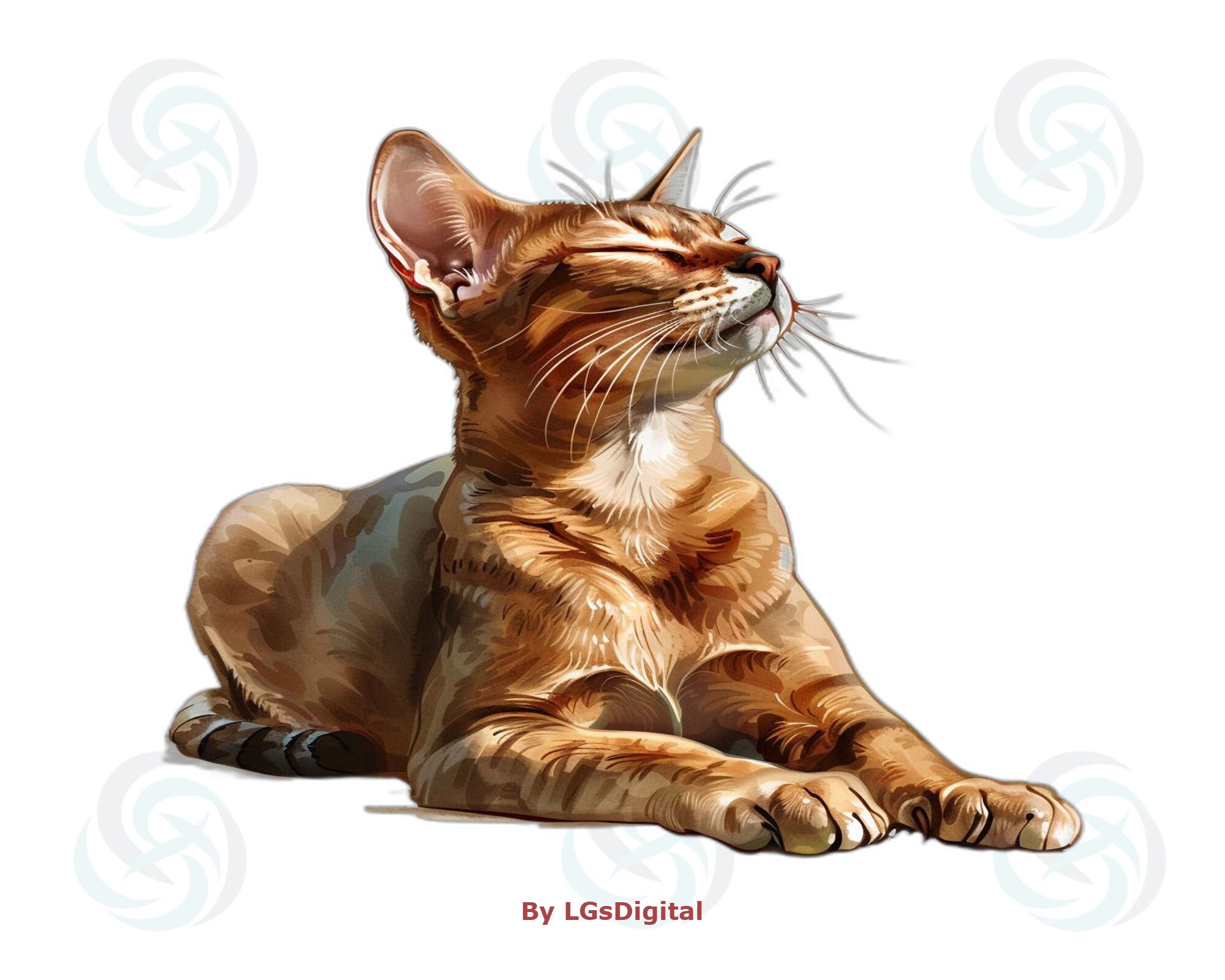 196 Abyssinian Clipart | Realistic Clipart | Transparent Background ...