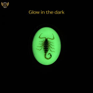 Pu&ograve; includere: Uno scorpione scuro racchiuso in una resina trasparente di forma ovale che si illumina di verde. Il testo "Glow in the dark" &egrave; sopra l'ovale. Lo sfondo &egrave; nero.