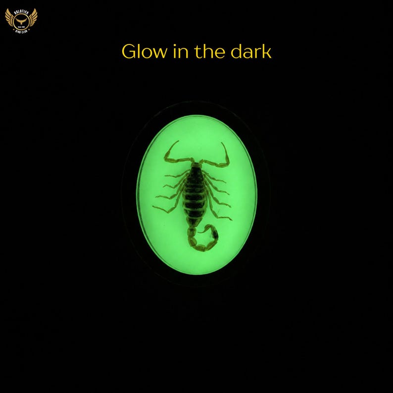Pu&ograve; includere: Uno scorpione scuro racchiuso in una resina trasparente di forma ovale che si illumina di verde. Il testo "Glow in the dark" &egrave; sopra l'ovale. Lo sfondo &egrave; nero.