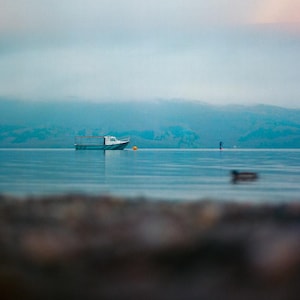 Colour film photo print - Loch Lomond, Scotland. 2022