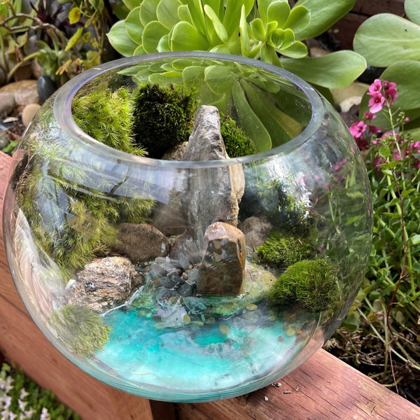 Live Moss Terrarium Etsy