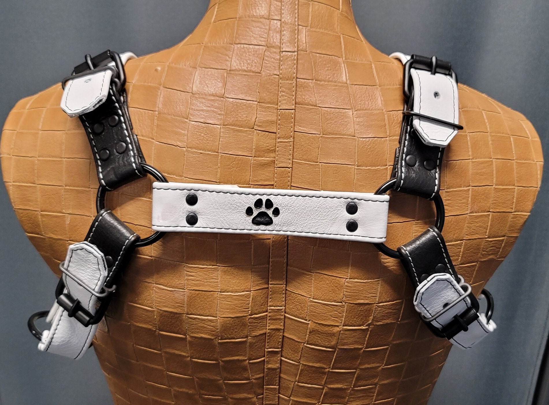 Signature Padded Harness - Black Paws LRG main image 0