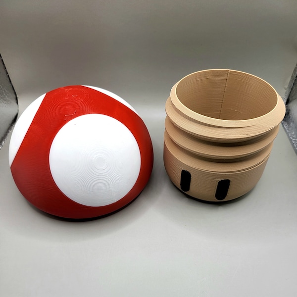 Super Mario bros Toad container