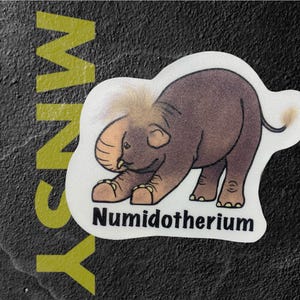 Numidotherium 2.5”