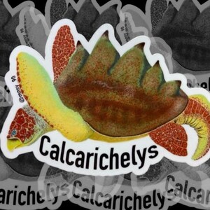 Calcarichelys