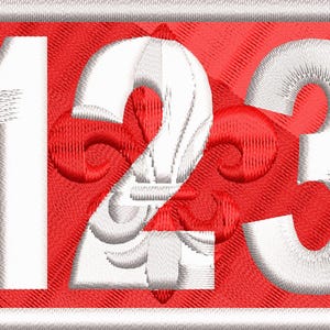 Custom Made Cub Scout Pack and/or Troop Numbers with &quot;hidden&quot; image. VELCRO ATTACH