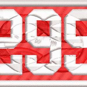 Custom Made Cub Scout Pack and/or Troop Numbers with &quot;hidden&quot; image. IRON ON