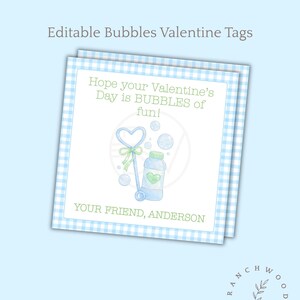 May include: Valentine's Day tags with a blue and white gingham border. The tags feature a watercolor illustration of a bubble wand and bottle, with the text "Hope your Valentine's Day is BUBBLES of fun!" and "YOUR FRIEND, ANDERSON."