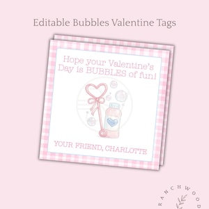 May include: Pink and white Valentine's Day tags with a gingham border. The tags feature a bubble wand and bottle illustration with the text "Hope your Valentine's Day is BUBBLES of fun!" and "YOUR FRIEND, CHARLOTTE."
