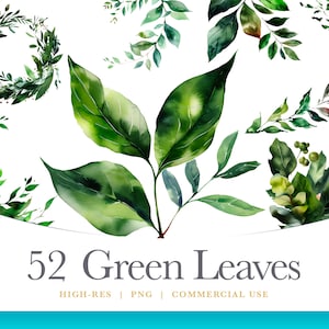Green Leaves and Branches, Watercolor Floral Clipart Bundle, Transparent PNG Leaves, digital graphics for commercial use instant download