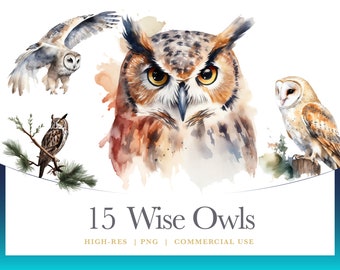 Watercolor Wise Owl Clipart, Bird Clipart, digital graphics for commercial use instant download