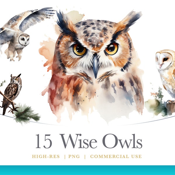 Watercolor Wise Owl Clipart, Bird Clipart, digital graphics for commercial use instant download