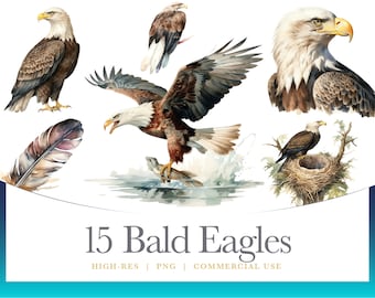 Watercolor Bald Eagle Clipart, digital graphics for commercial use instant download