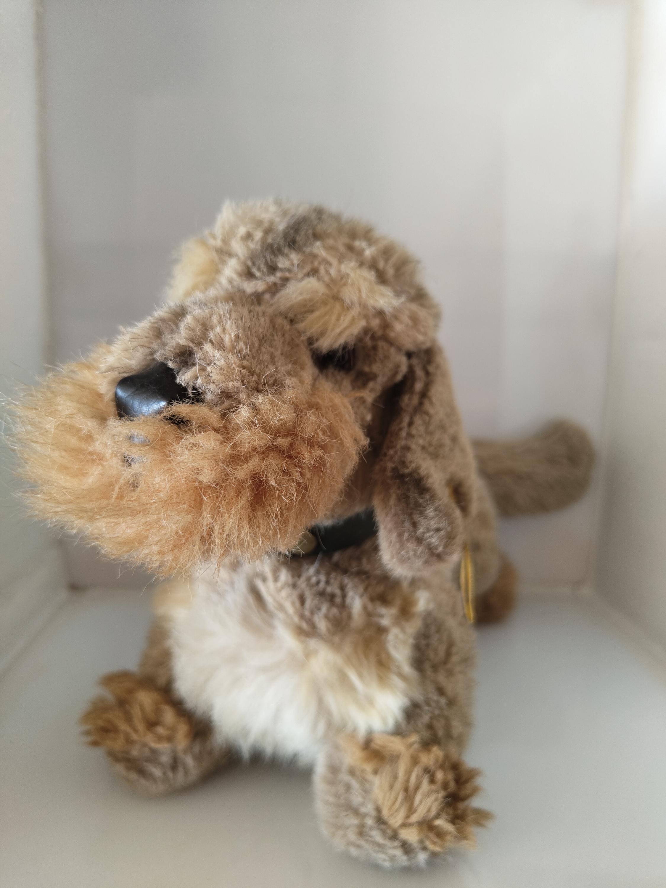 Steiff Dachshund - Etsy