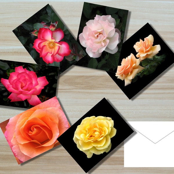 Flower Photo Greeting Cards - Flower Photo Note Cards -  Photo Art Cards - Blank Note Cards with envelopes