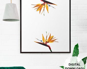 Printable Wall Art Digital Download Art Digital Print Wall Art Decor Instant Download Wall Art Digits Floral Wall Art Botanical Wall Art