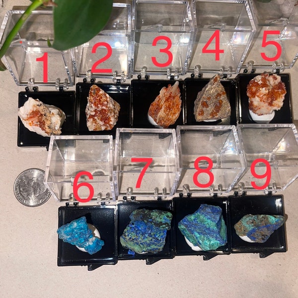 Beautiful RARE EARTH SPECIMENS - Raw Crystals / Minerals: Vanadinite & Azurite