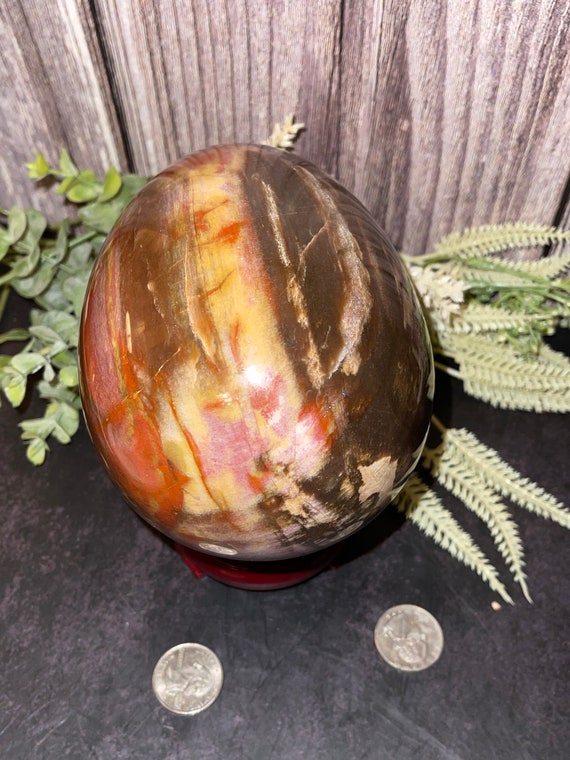 Buy Stunningly Beautiful PETRIFIED WOOD JASPER Egg Carving Crystal. 4.7 Pounds 2.13 Kg. 5.7 Tall 4.14 Diameter. 13 Circumference. Online in India Etsy