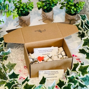Boxed - Gottes Versprechen an mich - 62 Versprechen - Ermutigende Schriften - Christliche Geschenkidee - Schriftkarten