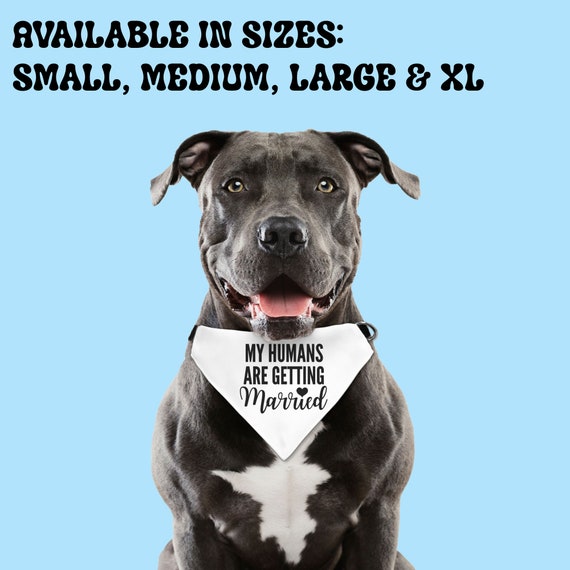 My parents are getting married dog bandana cheap