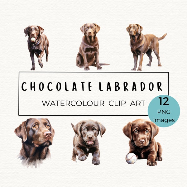 Chocolate labrador watercolor clipart bundle chocolate lab illustration dog clipart PNG labrador sublimation pet portrait art