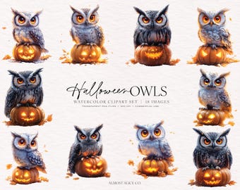 Watercolor Halloween Owl Clipart: Spooky Fall Graphics (Digital Download)