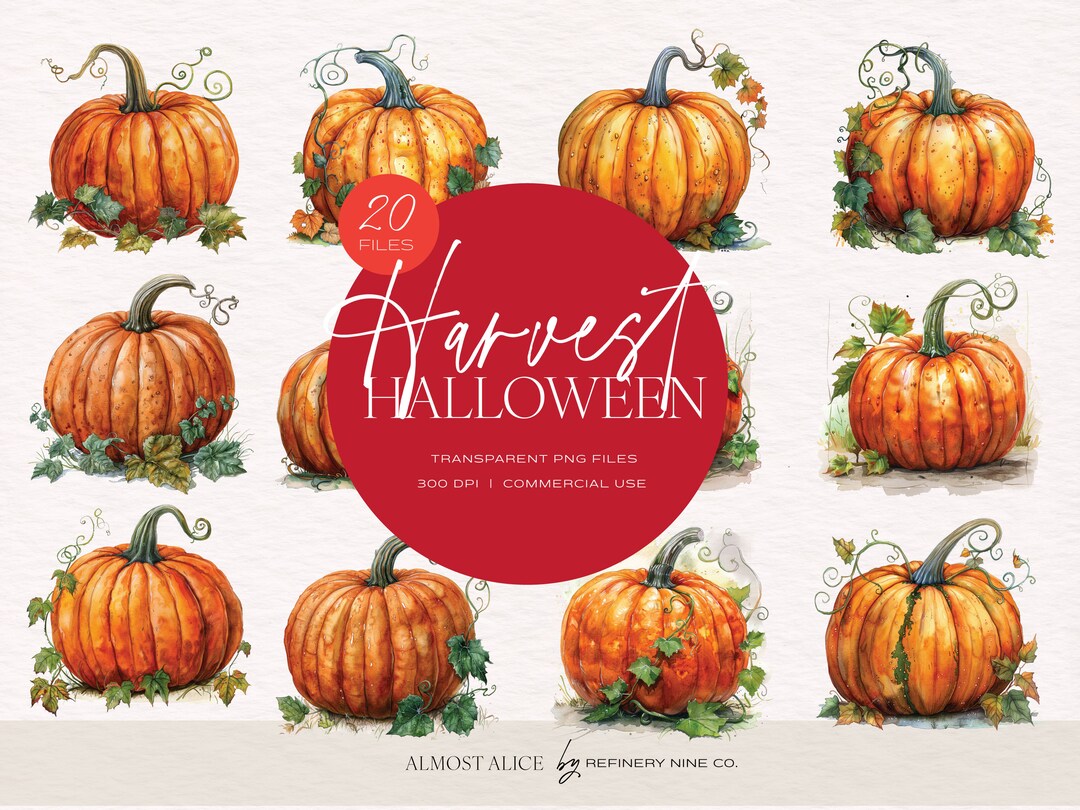 Watercolor Pumpkin Clipart: Autumn Harvest PNG (digital Download) - Etsy