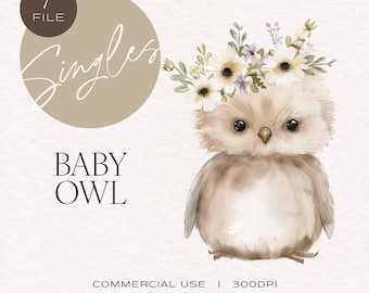 Watercolor Baby Owl Clipart, Woodland Nursery (PNG)
