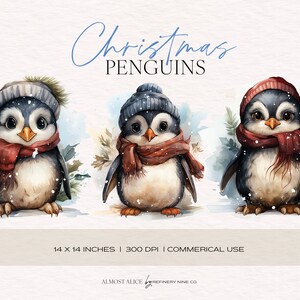 Pingwiny śnieżne, clipart akwarelowy, Boże Narodzenie, przesilenie zimowe, scrapbooking, projektant, artykuły papiernicze, pory roku, święta, przezroczysty PNG