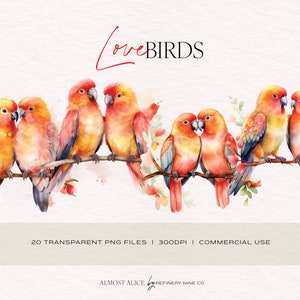 Paquete de imágenes prediseñadas de pájaros del amor, pareja de pájaros, imágenes prediseñadas de acuarela imprimible, estacionario, álbum de recortes, artesanía de papel, diario basura, PNG transparente