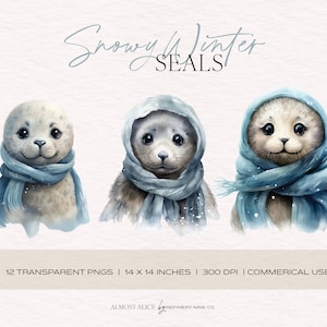 Phoques hivernaux enneigés, clipart aquarelle, solstice d'hiver, scrapbooking, bébés animaux, animaux mignons, papeterie, saisons, PNG transparent
