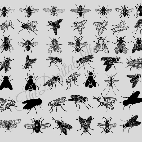 Insect SVG , Insect Bundle SVG, Fly Vector, Fly Bundle SVG, Fly svg, Fly Fishing svg Bundle, horse fly svg, bug svg, flies svg, Flies Vector