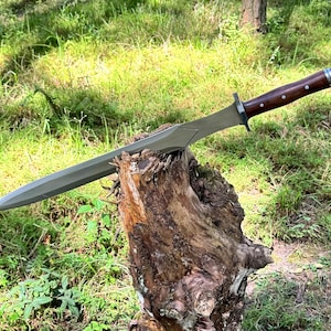 May include: A large, silver-colored sword with a wooden handle and a metal guard. The handle is dark brown with silver rivets. The sword is resting on a weathered tree stump in a grassy area.