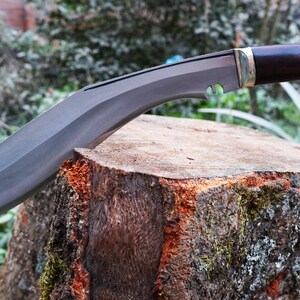 Pode incluir: Uma faca curva de cor cinza escura com um cabo de madeira marrom e um detalhe de metal prateado. A faca está apoiada em um toco de árvore.